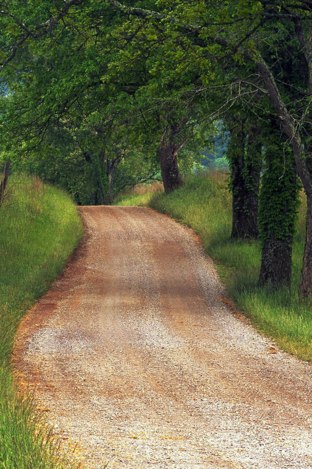 Ожидание томительно. Но, финал неизбежен.