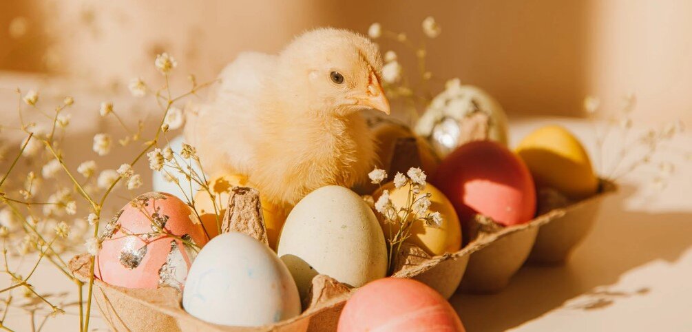 Фото автора ROMAN ODINTSOV: Pexels