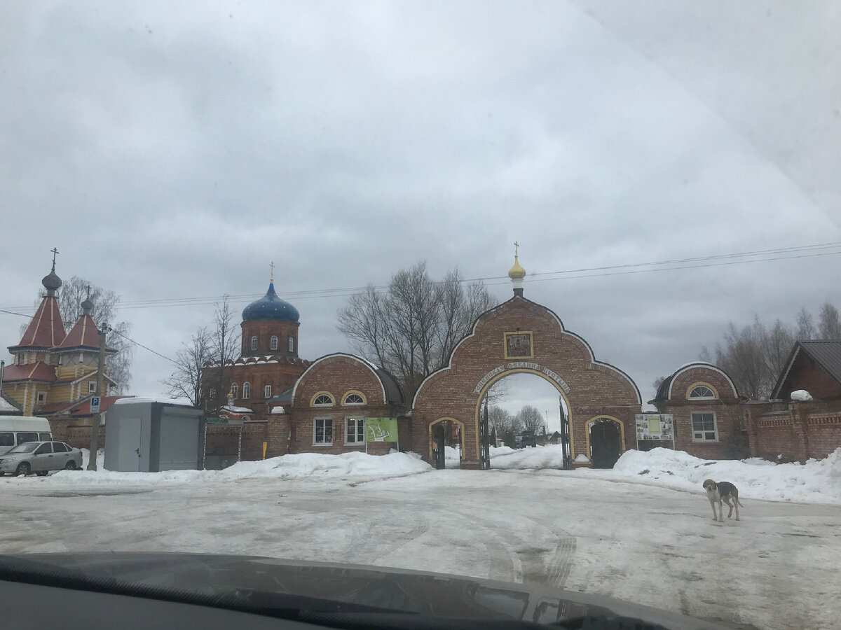 На фото пес очень ласковый который меня обслюнявил когда я ему сухарики из чайной дала:)