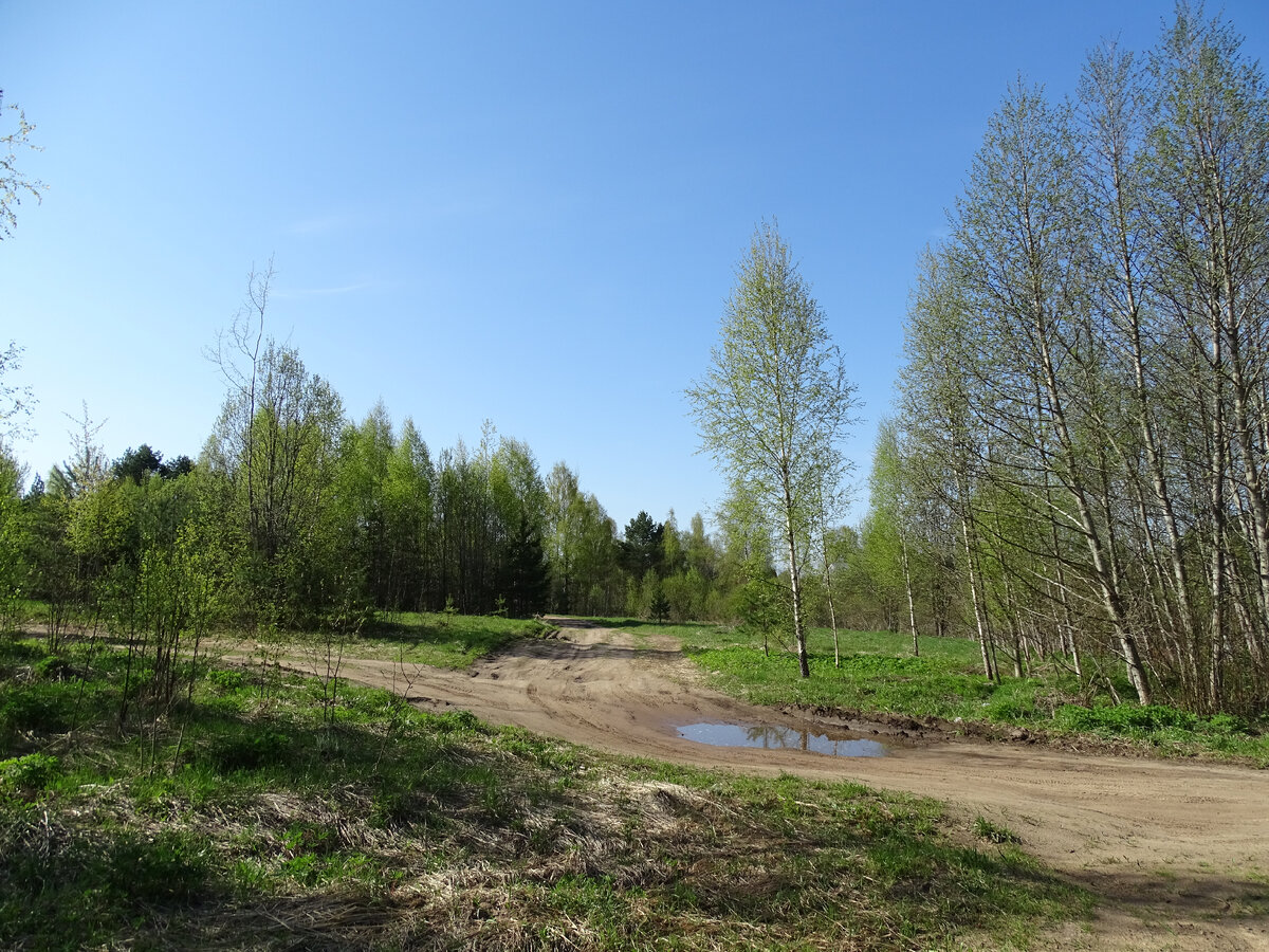 Фото Старого Солдата. 14.05.2022 