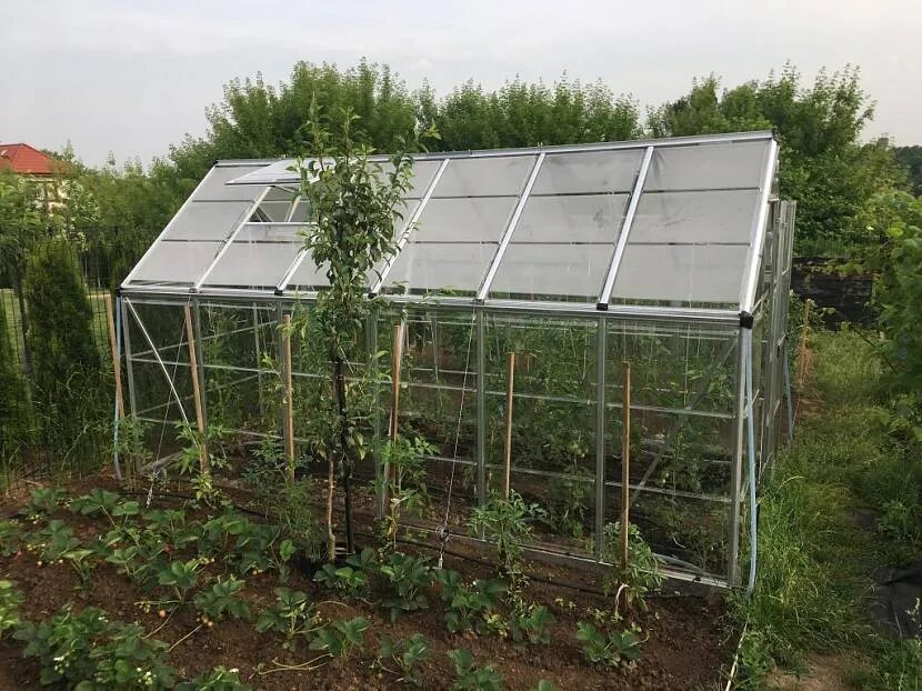 Маленькая теплица на приусадебном участке