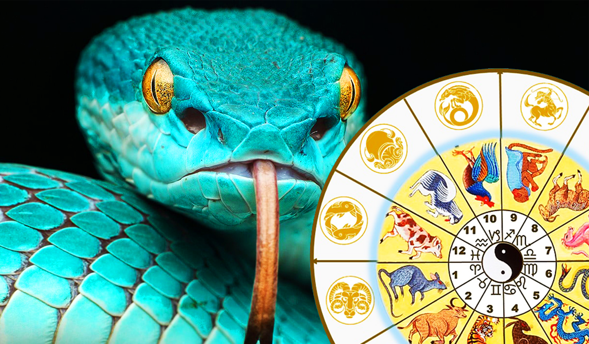 Авторский коллаж, рисунок источник яндекс картинки