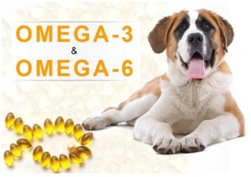 Польза биодобавки обусловлена содержанием в рыбьем жире следующих веществ: