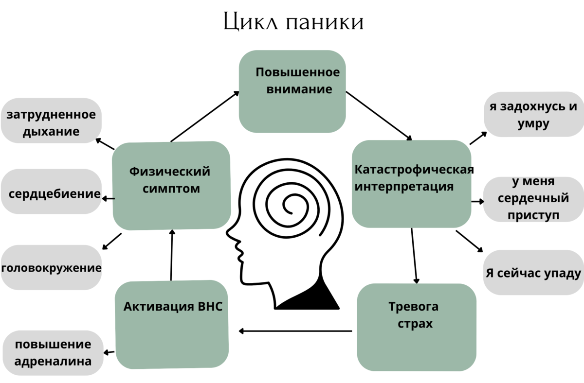 Схема панической атаки. Цикл панической атаки. Механизм панической атаки. Симптомы при панических атаках.