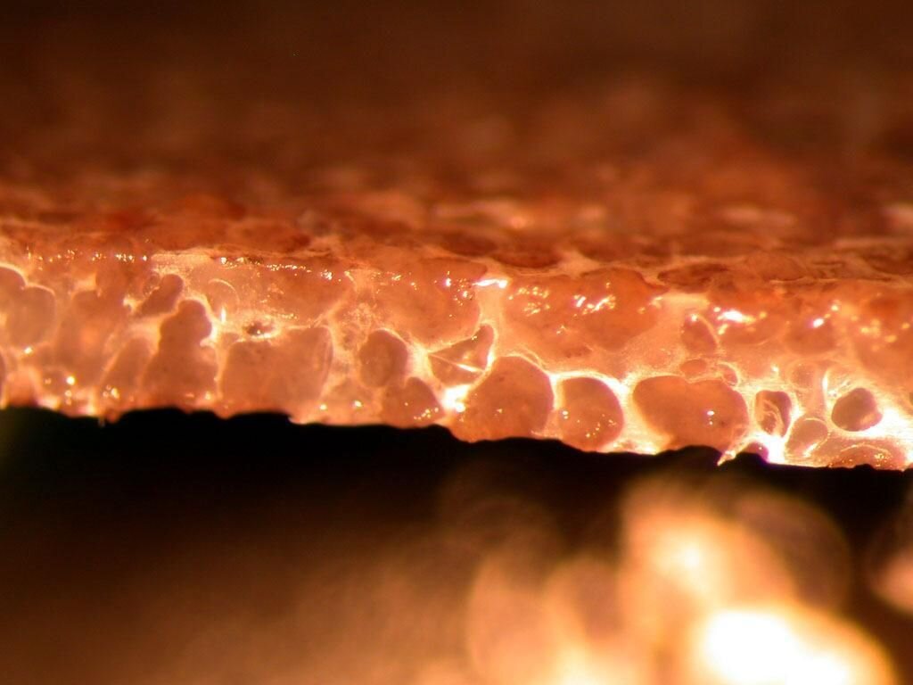 фото с сайта: www.biochip.by