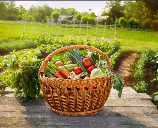 изображение из свободного доступа