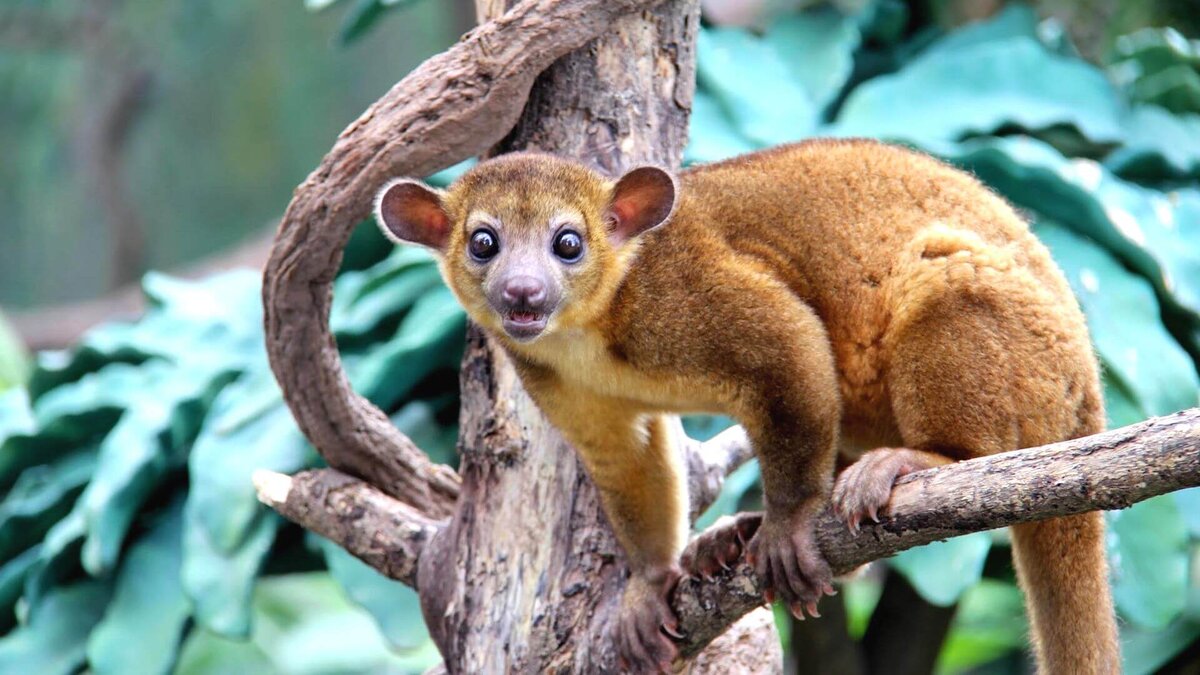 Источник: https://clck.ru/32YxnD