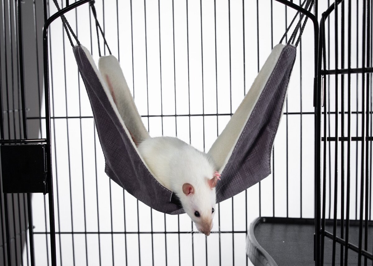 На фото –  гамак Gamma «Морфей мини» (арт. 41902007).