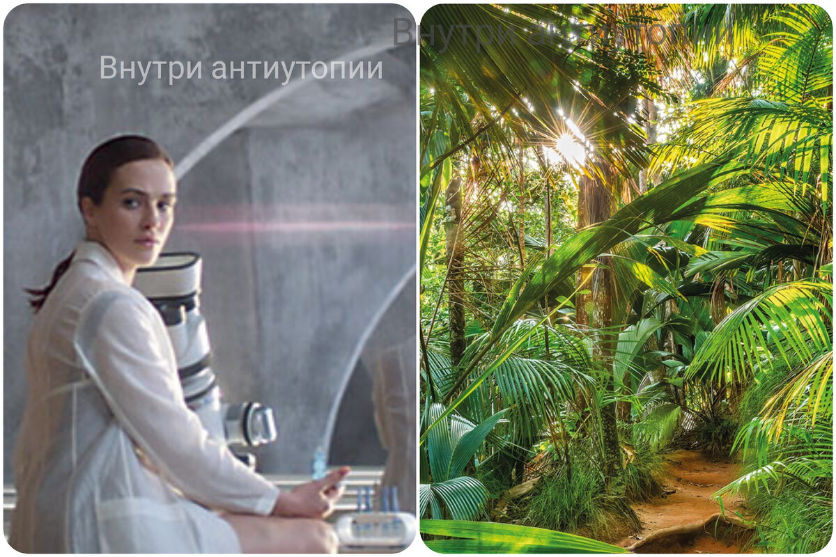 "О, дивный новый мир" и "Остров" Олдоса Хаксли