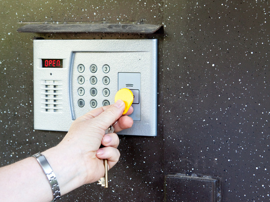     ФОТО BEARFOTOS FREEPIK