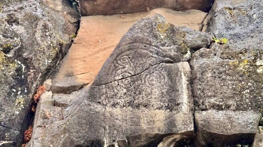     Более 11 тысяч жителей края воспользовались в этом году услугами партнеров губернаторского проекта «Отдыхаем в крае». К новогодним праздникам туроператоры запускают праздничные предложения для детей и взрослых со скидками по промослову «Минтур».