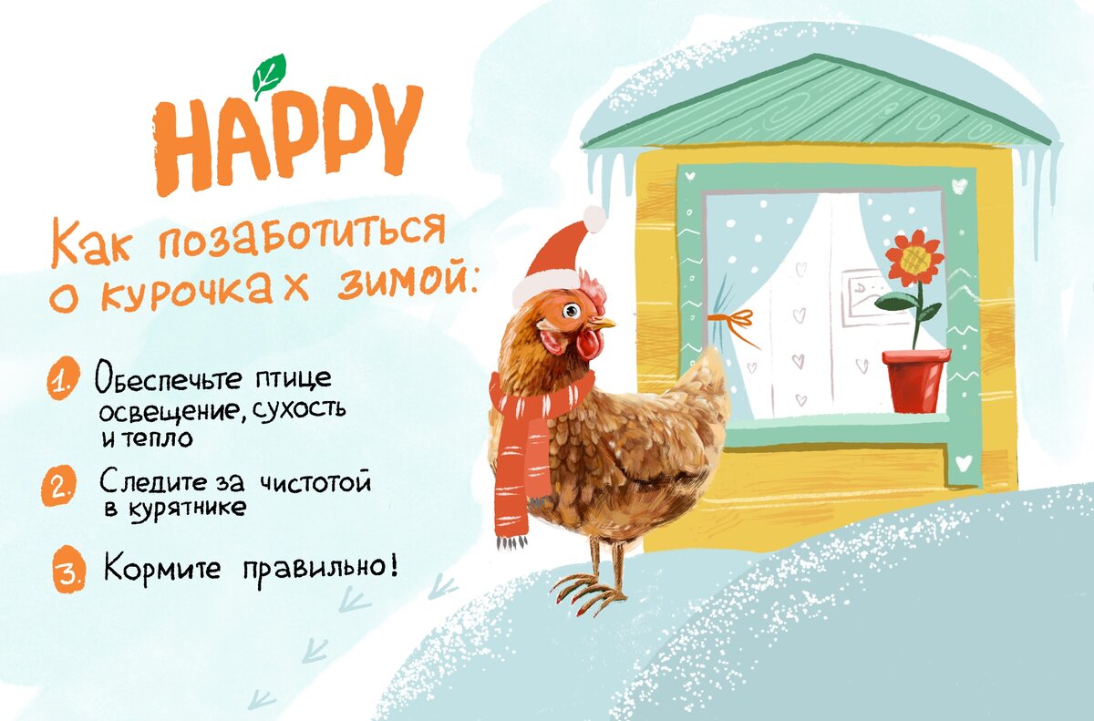 Зимой куриное хозяйство требует особой заботы.