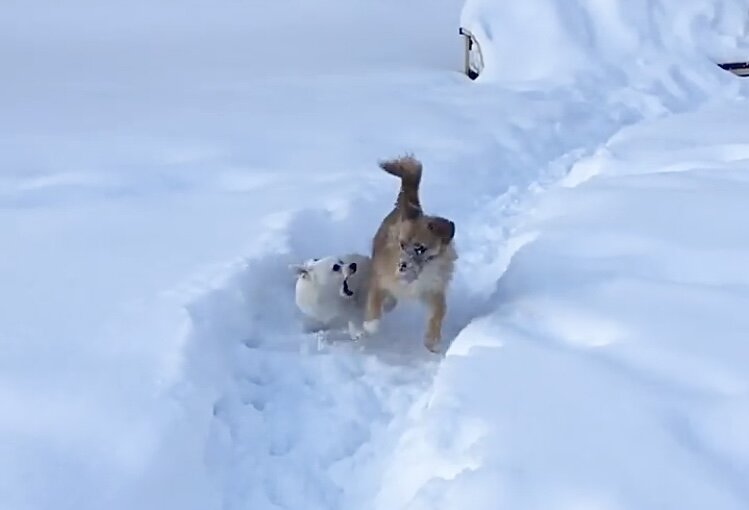 Кто там говорил, что Лаки скромник? Вот он, момент истины! 😂