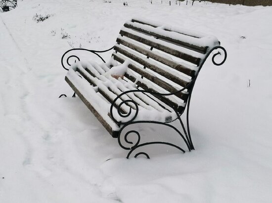     Фото: Анна Ковалева / "КП-Томск"