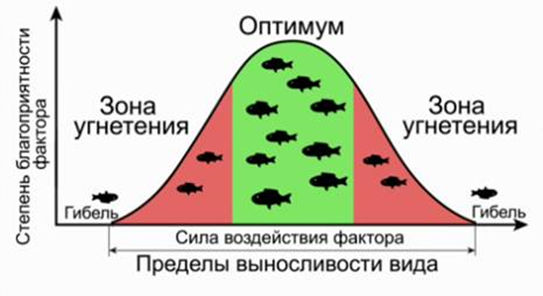 Схема лимитирующего фактора