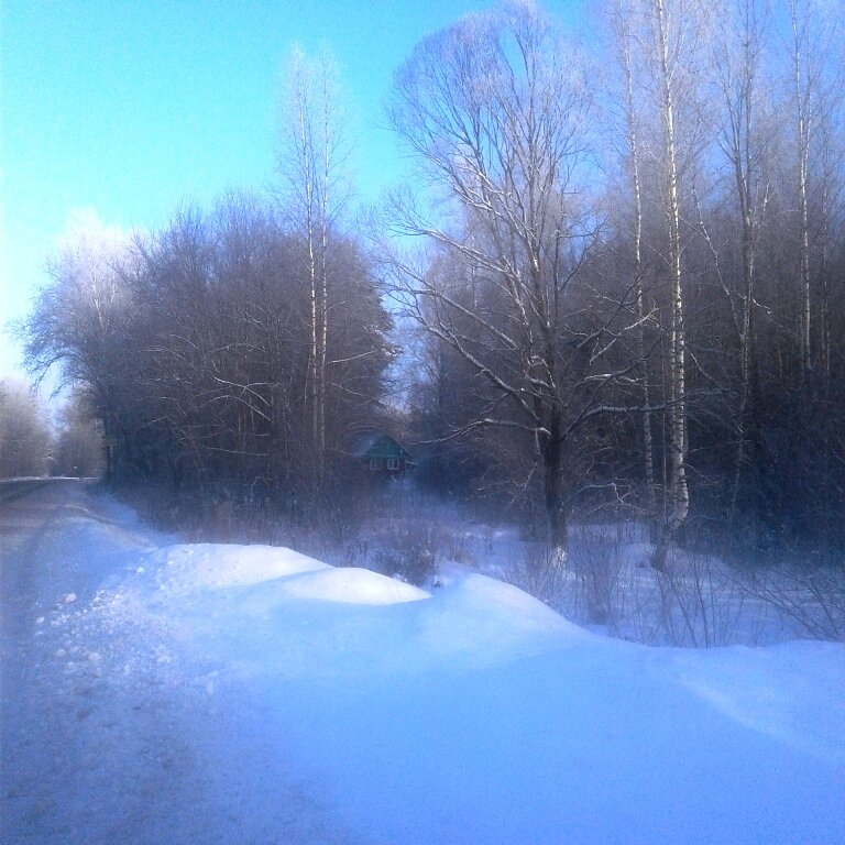Домик с окнами в сад... Фото автора