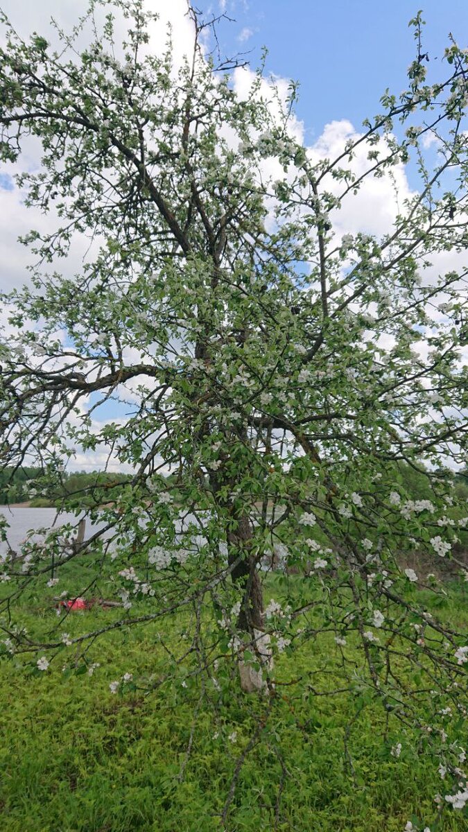 Фото из личного архива. Неописуемый восторг❤️