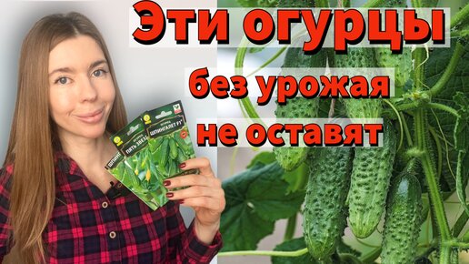 САМЫЕ УРОЖАЙНЫЕ И РАННИЕ СОРТА ОГУРЦОВ. которые подойдут всем. Мой выбор семян на 2023 год