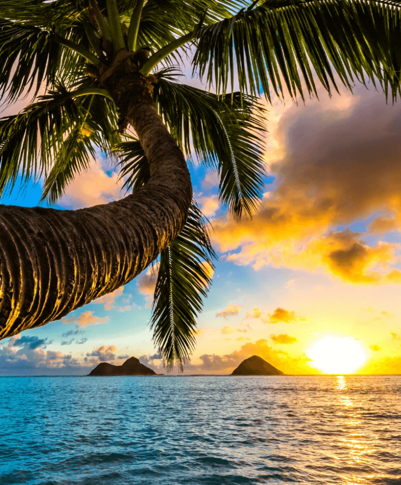 Фото из свободного доступа