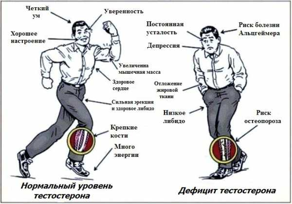 Источник фотографии: Яндекс картинки  