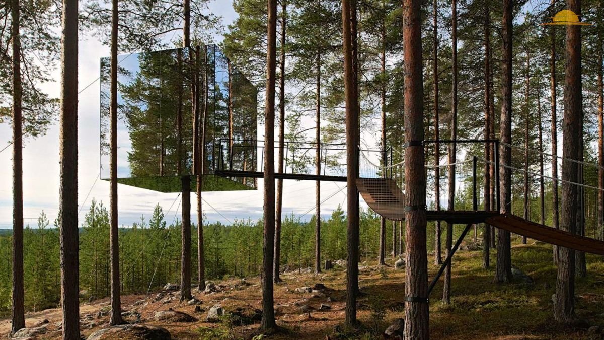Отель на дереве "Mirrorcube"