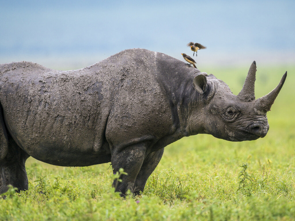 Фотот с placepic.ru