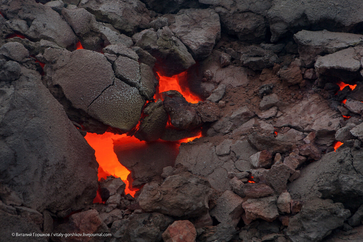 Фото: magictaiga.com