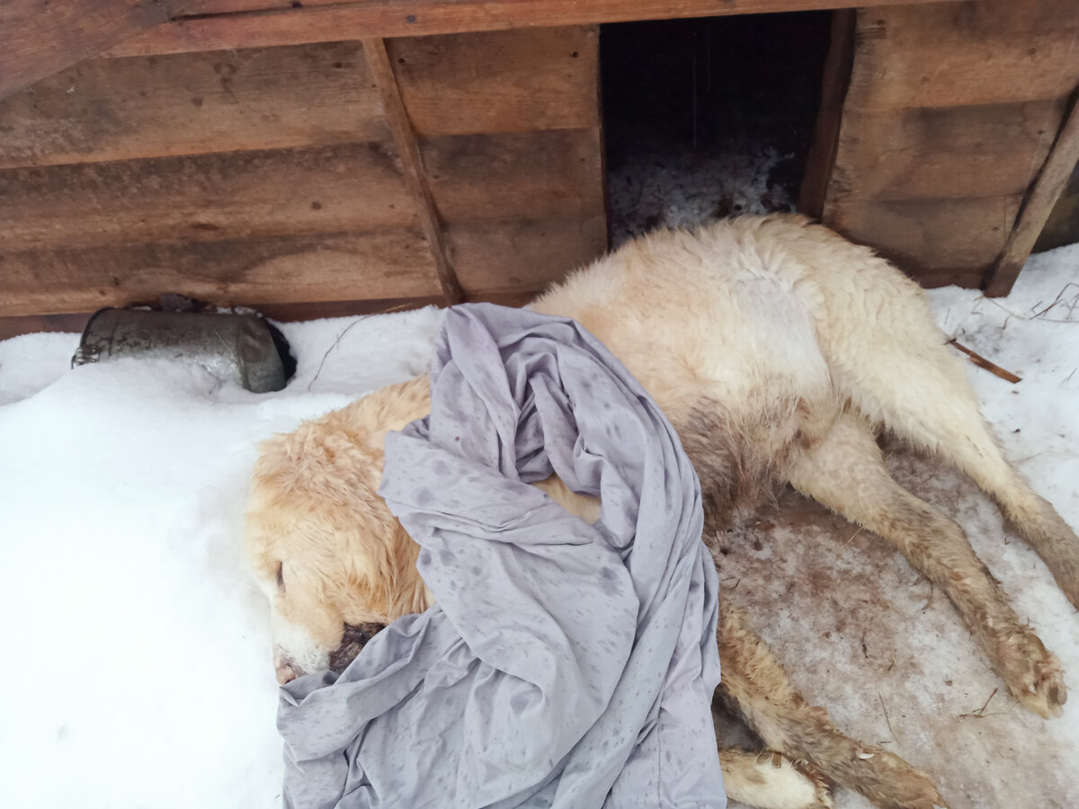 Беги по радуге наш мальчик.