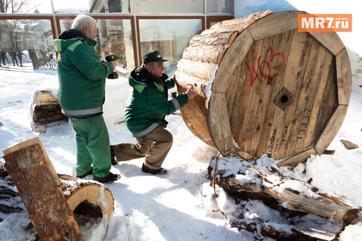 Сотрудники зоопарка создают новые декорации для вольеров. Фото: Олег Золото / MR7