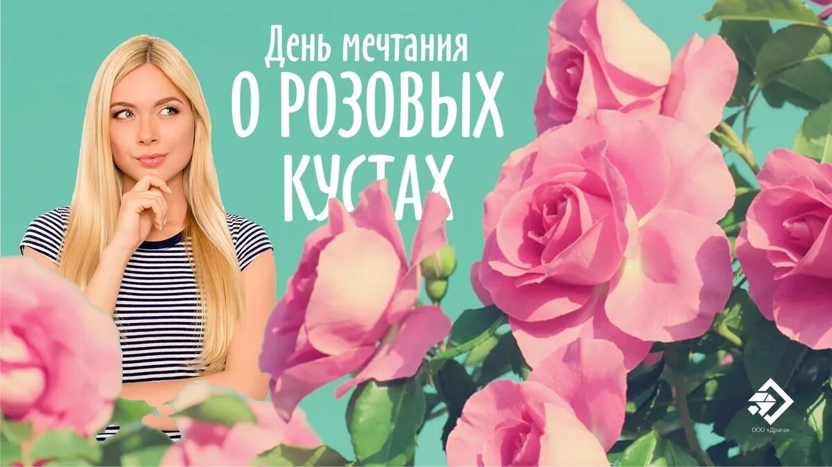 день мечтания о розовых кустах. день мечтания о розовых кустах. день мечтания о розовых кустах. поздравления с днем мечтания о розовых кустах. день мечтания о розовых кустах открытки.