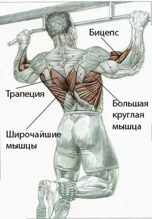 Трапеция в зале