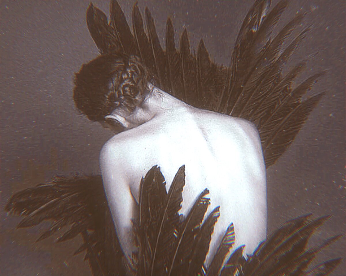 Яндекс Картинки