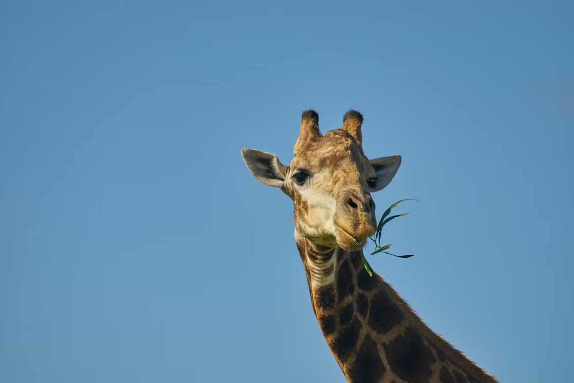 Почему стоит поехать в ОАЭ с детьми: отели, пляжи, развлечения