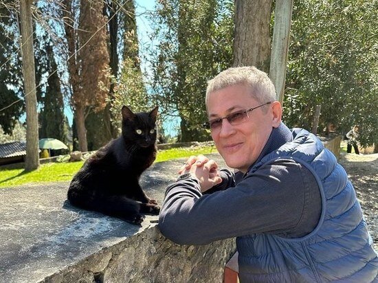     Соцсети Радия Хабирова