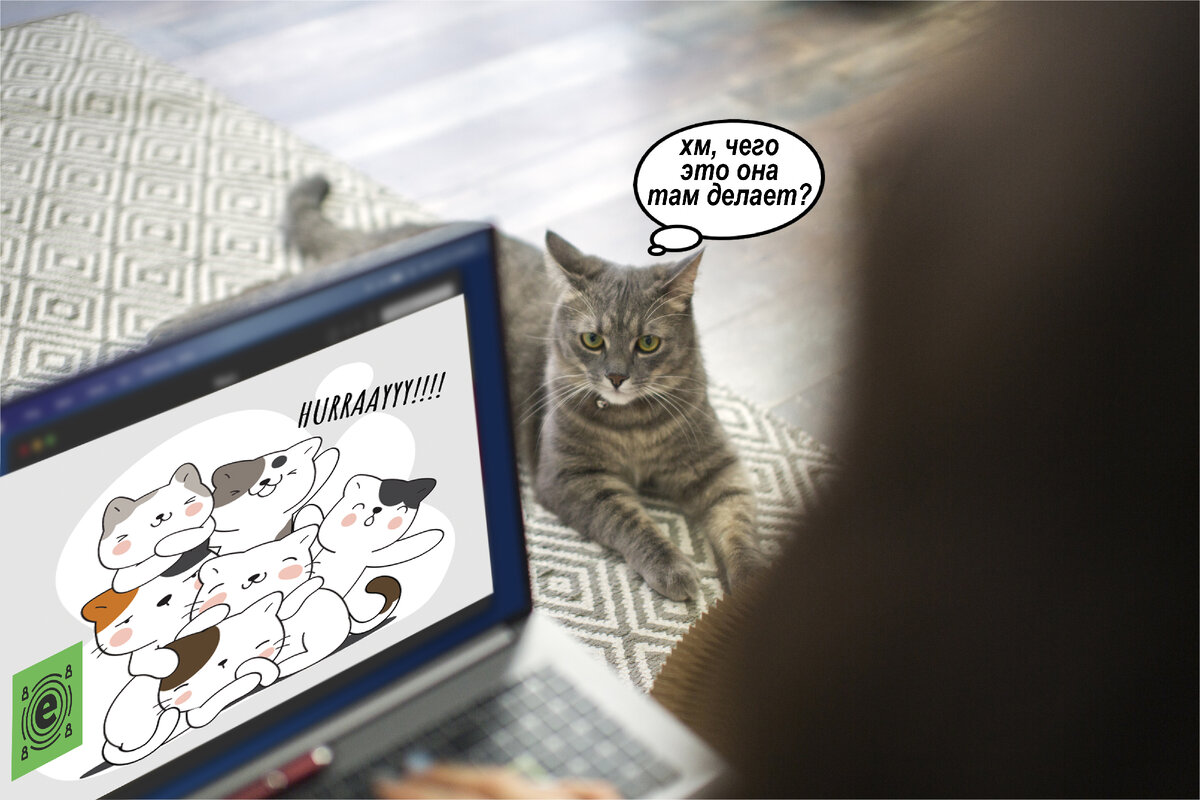 Котики одобряют нашу работу :)