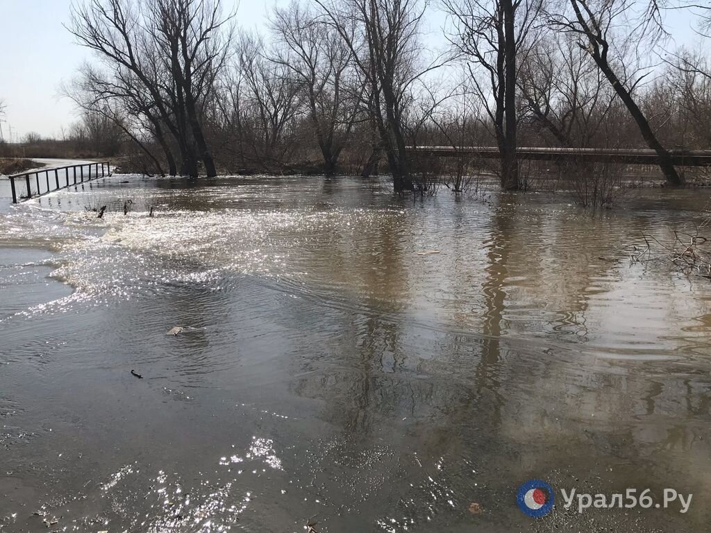 Какая ситуация с паводком в оренбурге