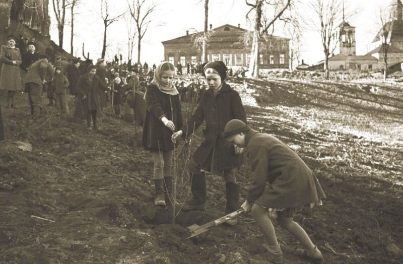 Закладка сада 1948 год. Фото из Интернета