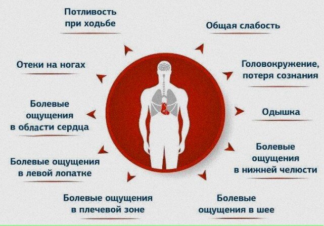 5 питательных веществ, важных для здоровья сердца