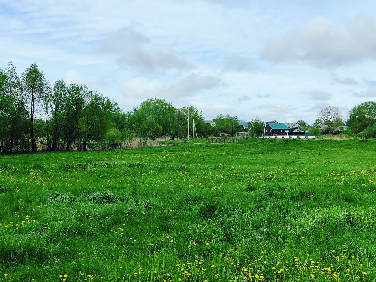 Там, вдали, место, где Случь распадается на два рукава.