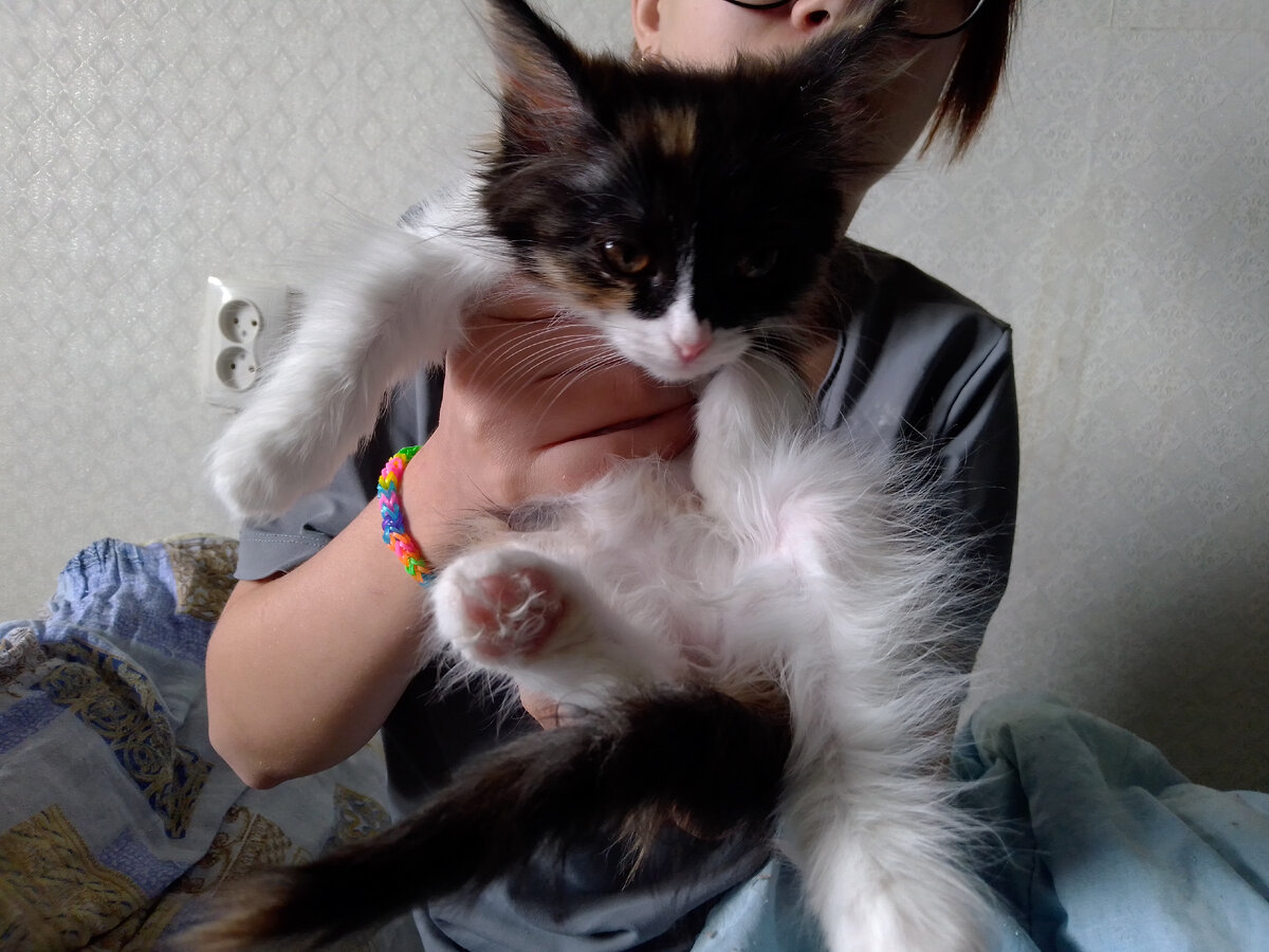 Сима очень скромная девочка.