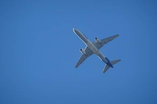    В России возросло количество столкновений самолётов с птицами