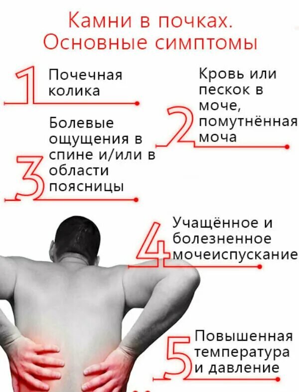 Болят почки симптомы. Болит спина. Может ли почка отдавать в живот. Может ли почка отдавать в живот. Может ли почка отдавать в живот.