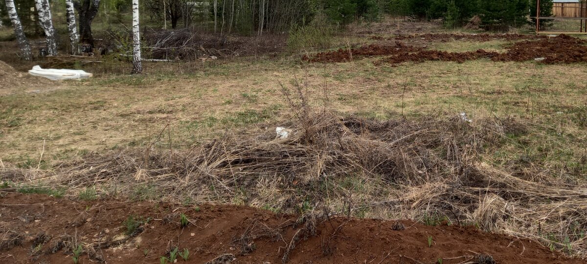 Вот сравните кусочек не кошеный и дальше чистая полянка. Вообще красота.