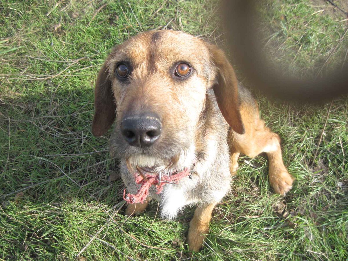 Надеюсь, что этот взгляд повеселеет