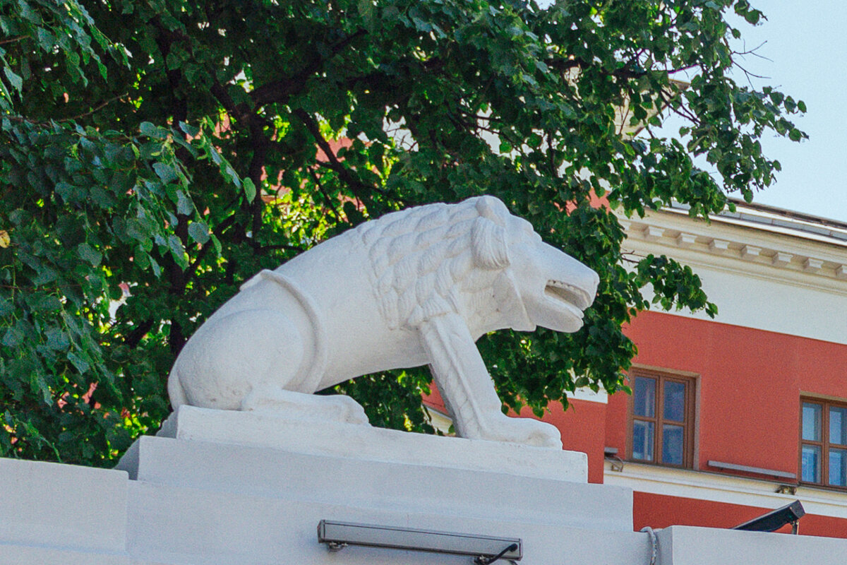 Каменные львы Английского клуба выглядят, скорее, забавно, чем устрашающе. Фото: Про Мой район