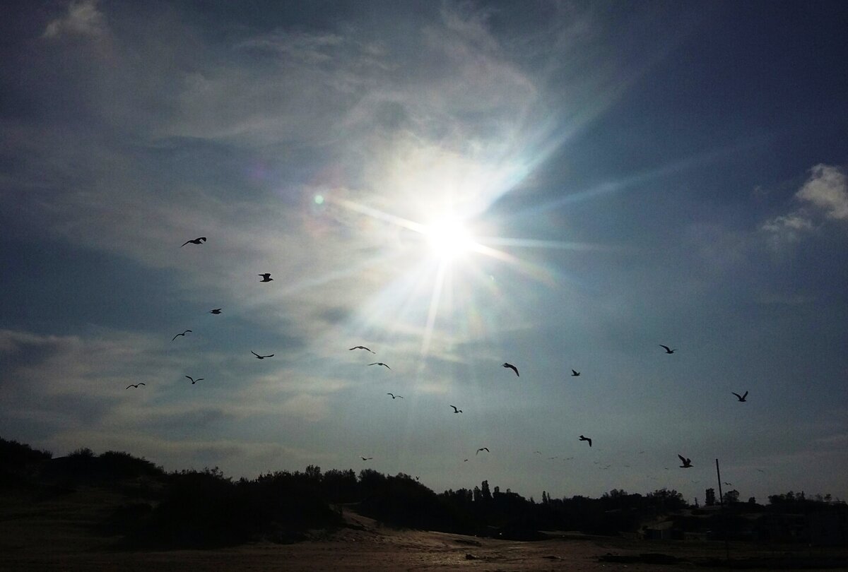    Жара © ИА Регнум