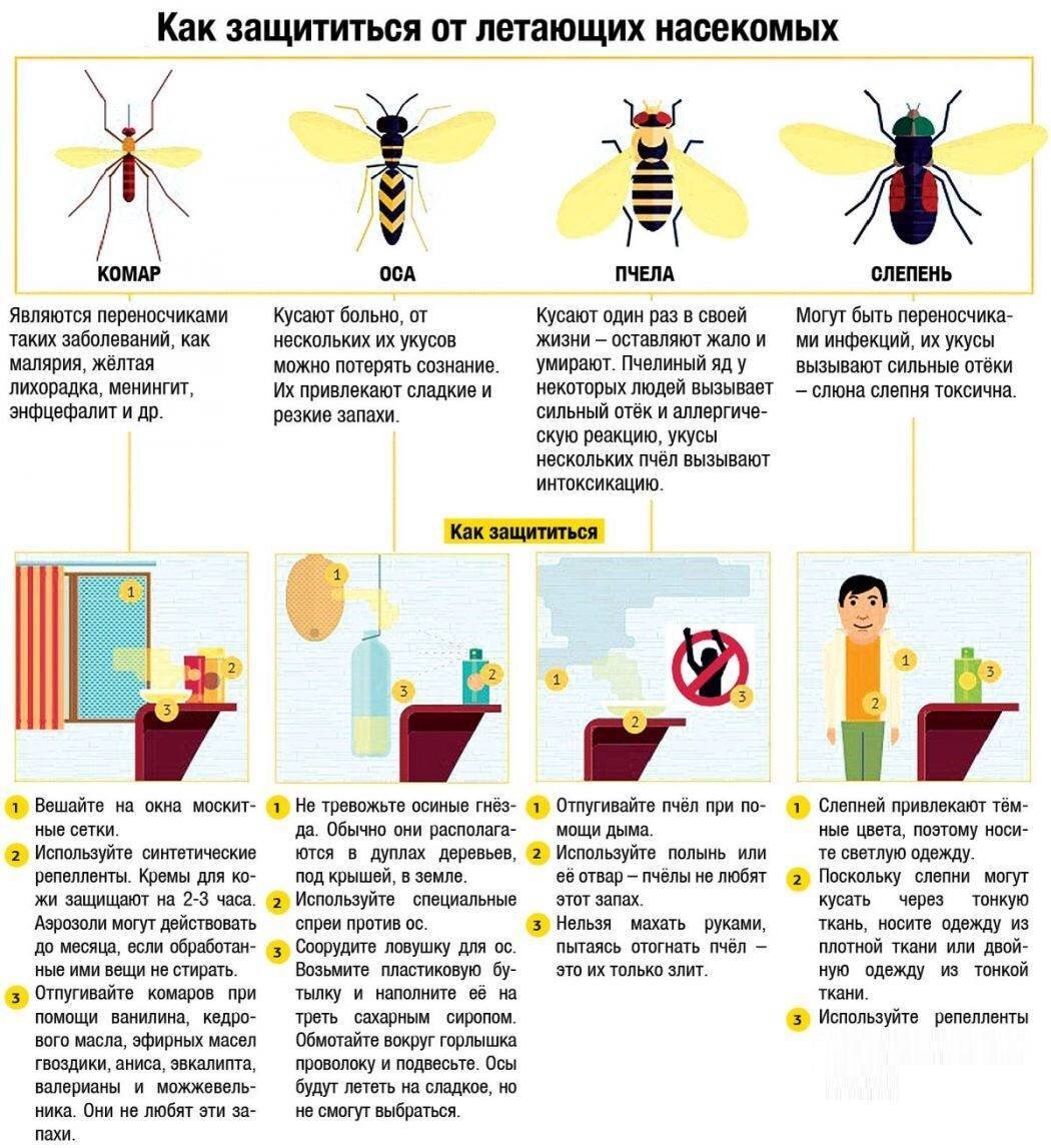 Памятка первая помощь при укусах насекомых