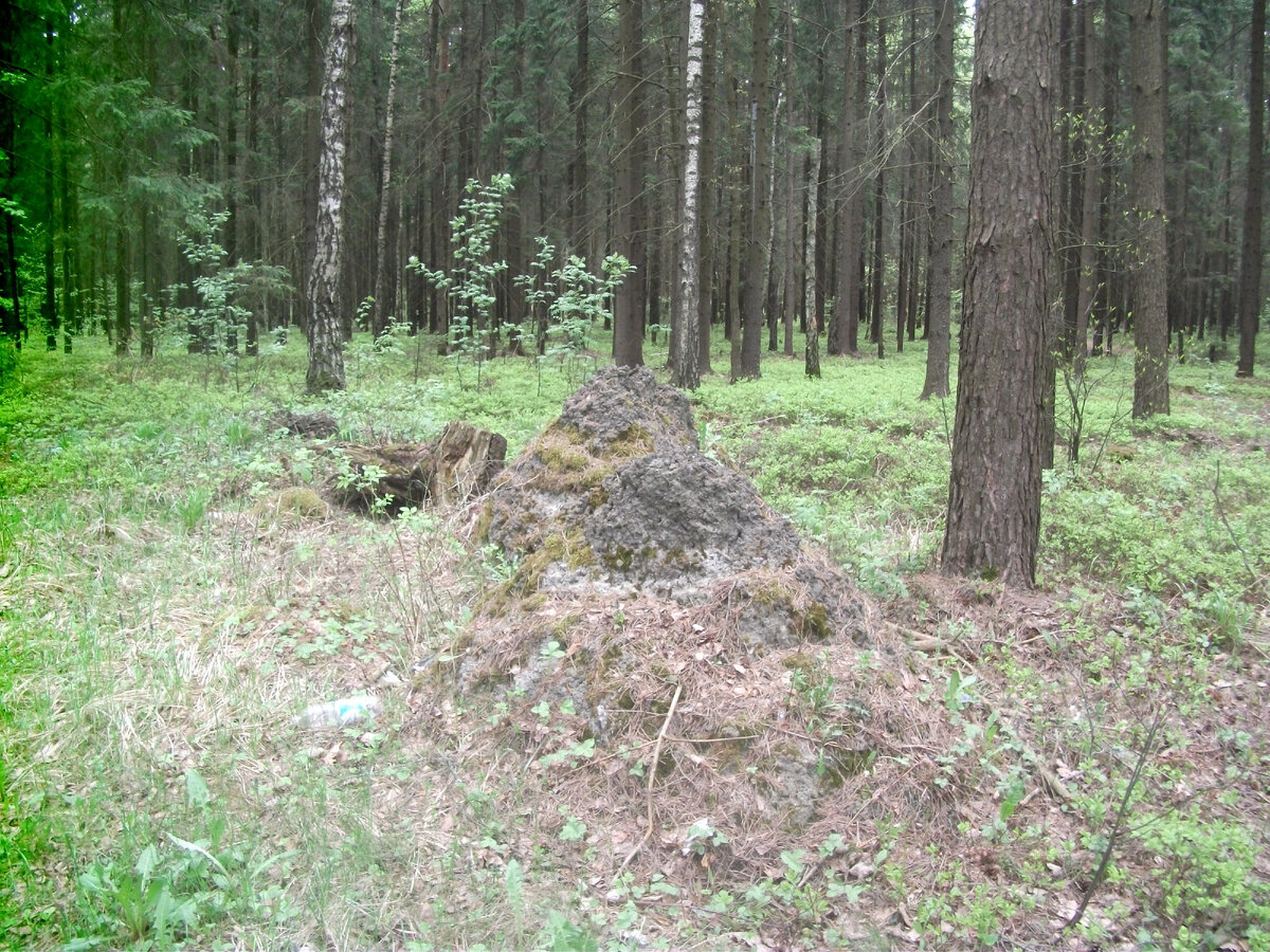 Муравейник