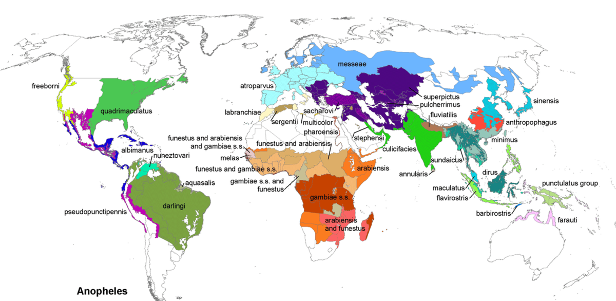 Карта обитания малярийных комаров. Источник: cdc.gov