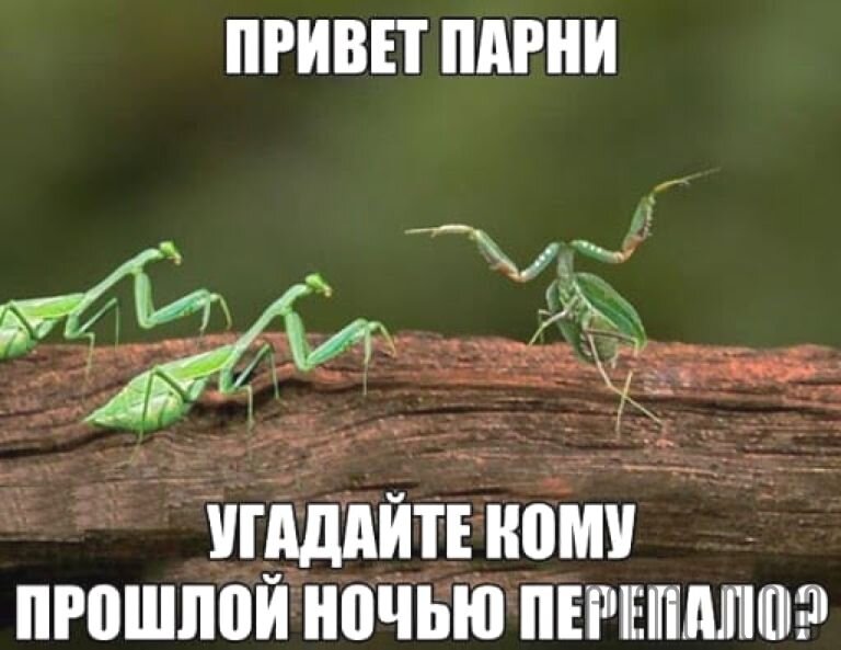-1-2